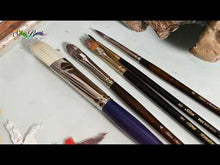 Cargar y reproducir el video en el visor de la galería, Set pinceles Esenciales Alejandro Barrón Silver Brush
